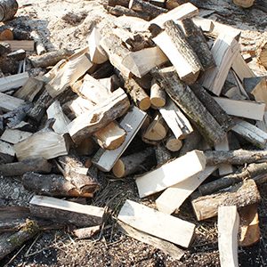 Дрова дубовые