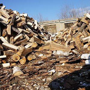 Дрова горячий микс